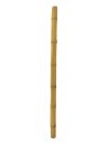 EUROPALMS Bambusrohr, Ø=8cm, 200cm