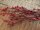 EUROPALMS Berry spray glitter red 85cm 3x