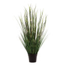 Bamboo-onion grass mix in pot - Material:  - Color: green...