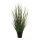 Bamboo-onion grass mix in pot     Size: 86cm    Color: green
