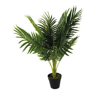 Areca Palme mit Kunststoff Topf     Groesse: 70cm - Farbe: grün #