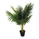 Areca Palme mit Kunststoff Topf     Groesse: 70cm -...