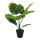 Philodendron Pflanze, mit Kunststoff Topf, Größe: 60cm Farbe: grün   #
