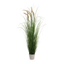 Onion grass in pot  - Material:  - Color: green - Size:...