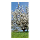 Banner Kirschblütenbaum Papier Größe:190x90cm Farbe:bunt #