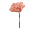 Peony flower head made of foam - Material:  - Color:...