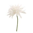 Dahlia flower head with 27cm stem - Material:  - Color:...