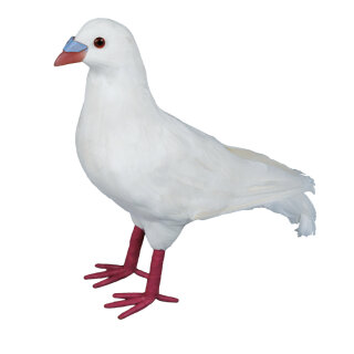 Pigeon styrofoam with feathers     Size: 22x23x10cm    Color: white