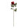 Rose      Groesse: 65cm    Farbe: rot