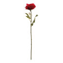 Rose      Groesse: 60cm - Farbe: rot