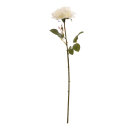 Rose  - Material:  - Color: white - Size: 60cm