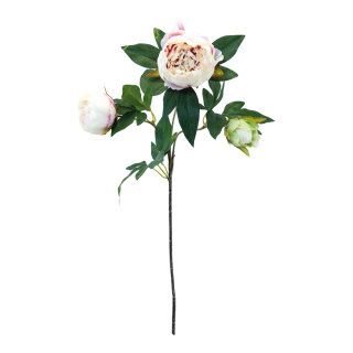 Peony 3-fold, made of artificial silk     Size: 75cm    Color: white/pink