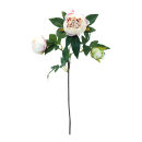 Peony 3-fold, made of artificial silk     Size: 75cm...