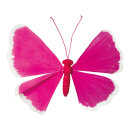 Schmetterling Drahtrahmen mit Papier     Groesse: 90cm...