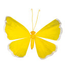 Butterfly paper with wire frame     Size: 90cm    Color:...