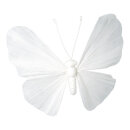 Schmetterling Drahtrahmen mit Papier     Groesse: 60cm -...