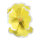 Blüte aus Papier, mit kurzem Stiel     Groesse: Ø45cm    Farbe: gelb/weiß