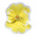 Blüte aus Papier, mit kurzem Stiel     Groesse: Ø35cm    Farbe: gelb/weiß