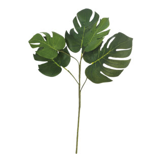 Philodendron spray 5-fold     Size: 60cm    Color: green