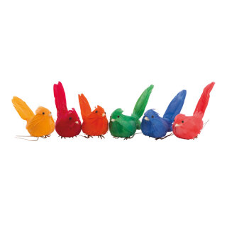 Birds 12-fold assorted - Material:  - Color: multicoloured - Size: 8cm