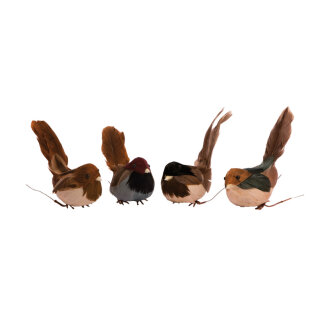Vögel 12-fach sortiert, 4 unterschiedliche Farben Abmessung: 8cm Farbe: braun