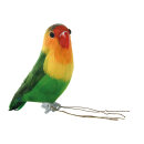 Parrot styrofoam with feathers 15x6x10cm Color:...