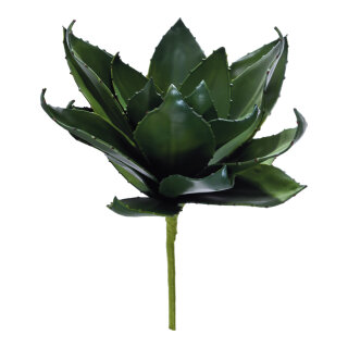 Pineapple leaves bundle 17-fold     Size: 50cm    Color: green