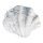 Seashell made of polyresin     Size: 25x30x8,5cm    Color: white