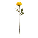 Rose      Groesse: 60cm - Farbe: gelb