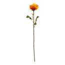 Rose      Groesse: 60cm - Farbe: orange