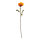 Rose      Groesse: 60cm - Farbe: orange