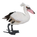 Pelikan stehend     Groesse: 30cm - Farbe: weiss/grau