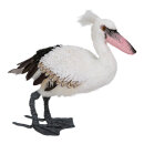 Pelican standing - Material:  - Color: white/grey - Size:...