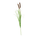 Bullrush 2-fold, with onion grass 120cm Color: green/brown
