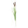 Bullrush 2-fold, with onion grass     Size: 120cm    Color: green/brown