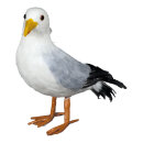 Seagull styrofoam with feathers     Size: 26x30x10cm...