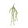 Seaweed hanger made of plastic     Size: 110cm    Color: green