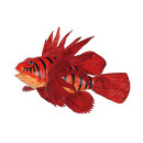 Feuerfisch mit Hänger Größe:30cm Farbe: rot/schwarz