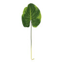 Canna leaf  - Material:  - Color: green - Size: 85cm