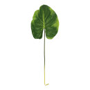 Canna leaf      Size: 85cm    Color: green