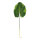 Canna leaf      Size: 85cm    Color: green