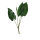 Calla-Lilienblätter 4-fach     Groesse: 76cm    Farbe: grün