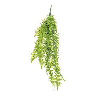 Fernleaf hanger made of plastic - Material:  - Color: green - Size: 90cm