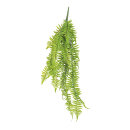 Fernleaf hanger made of plastic - Material:  - Color:...