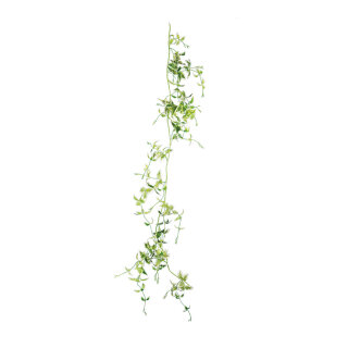 Birkenfeigenblattgirlande mit Blättern und 6 Blütenköpfen     Groesse: 180cm    Farbe: grün/weiß