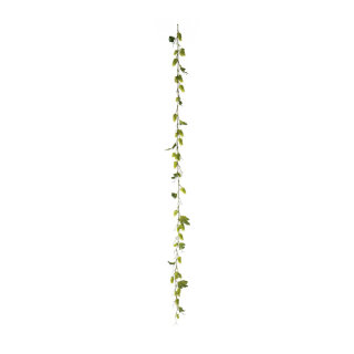 Hopfengirlande 48-fach, mit 12 Blätter     Groesse:180cm    Farbe:grün