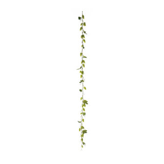 Hopfengirlande 48-fach, mit 12 Blätter     Groesse: 180cm    Farbe: grün