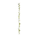 Hop garland 48-fold - Material: with 12 leaves - Color:...