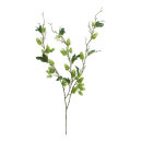 Hop branch 3-fold - Material:  - Color: green - Size: 75cm