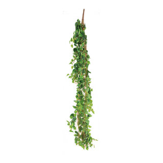 Pothos leaves-hanger 13-fold     Size: 160cm    Color: light green